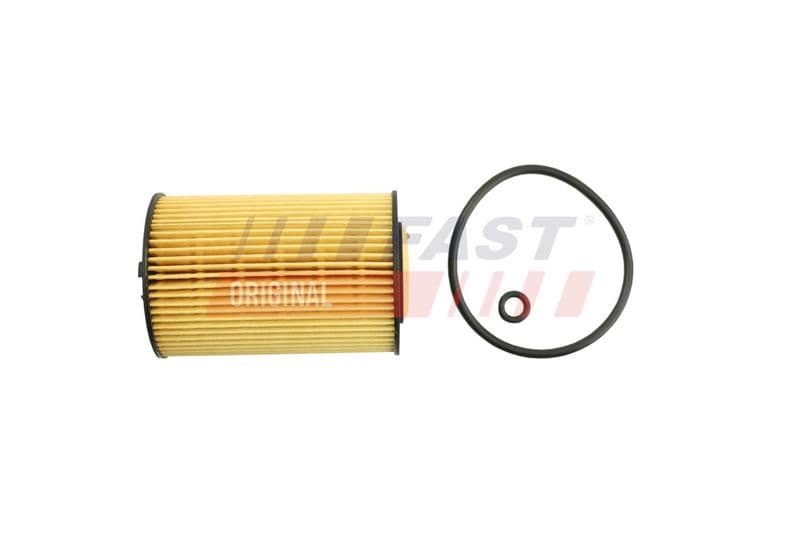 Filtru ulei FAST FT38098