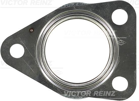 Garnitura, racord evacuare VICTOR REINZ 71-42072-00