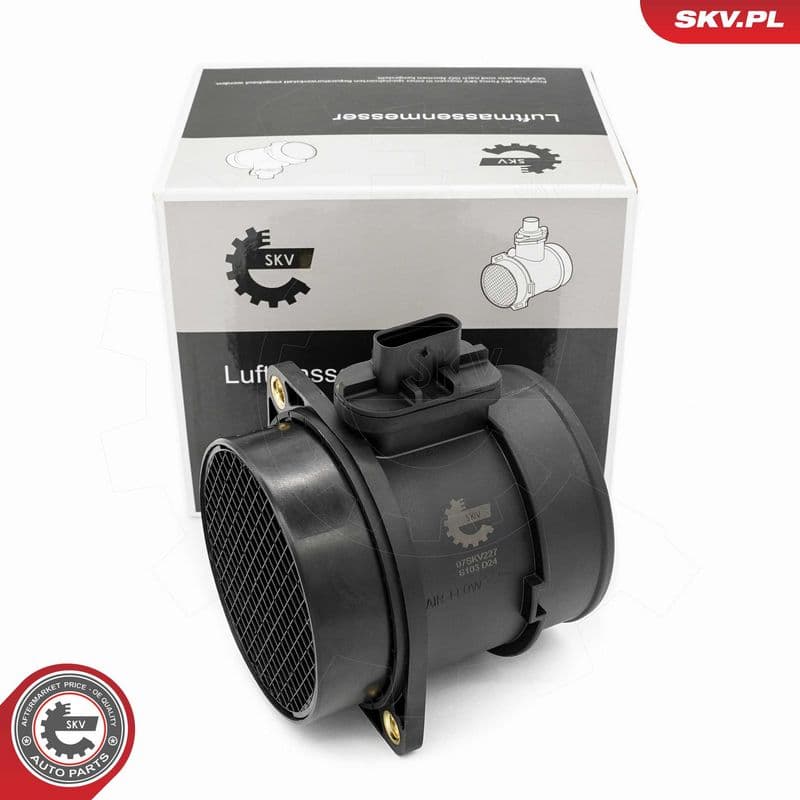 senzor debit aer ESEN SKV 07SKV227