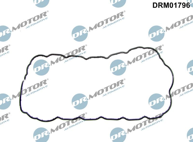 Garnitura baie ulei Dr.Motor Automotive DRM01796