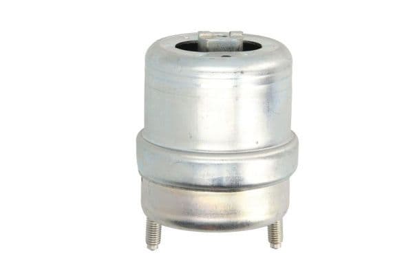 Suport motor REINHOCH RH11-0129