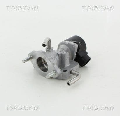 Supapa EGR TRISCAN 8813 13059