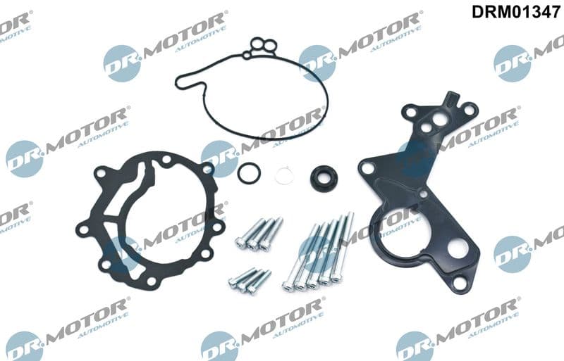 Set reparatie, pompa vacuum (Siste frana) Dr.Motor Automotive DRM01347
