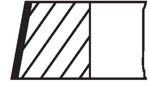 Set segmenti piston MAHLE 503 98 N0