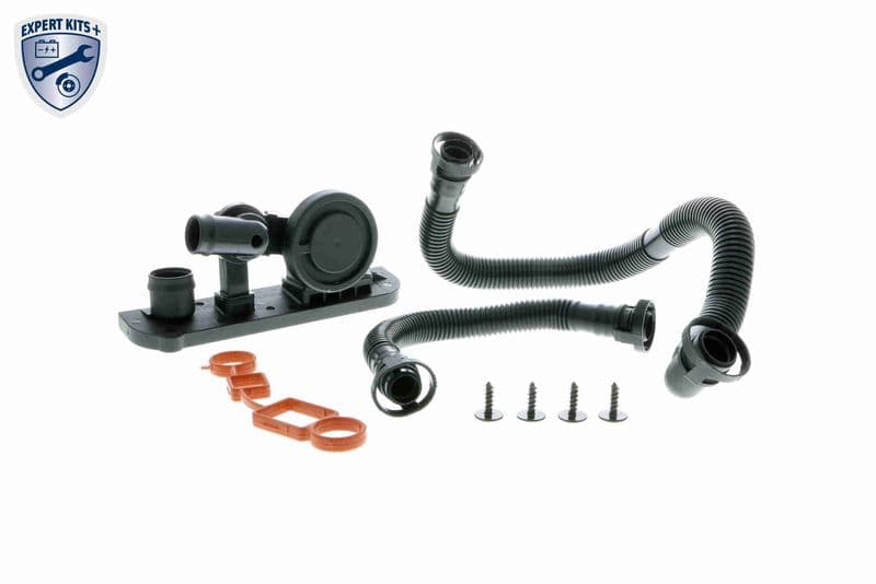Set reparatie, aerisire baie ulei VAICO V10-3246