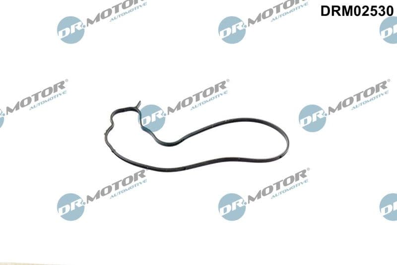 Garnitura, pompa de apa Dr.Motor Automotive DRM02530
