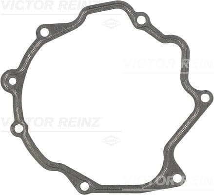 Garnitura, pompa vacuum VICTOR REINZ 71-31793-00