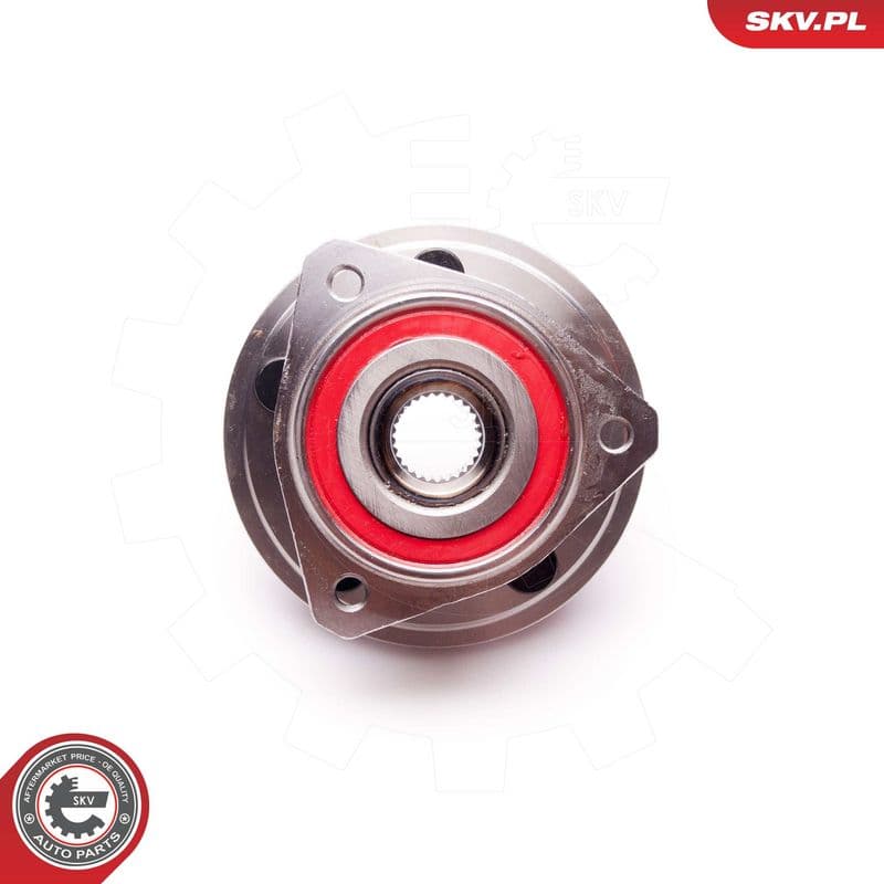 Set rulment roata ESEN SKV 29SKV133