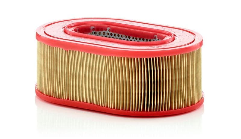 Filtru aer MANN-FILTER C 25 124