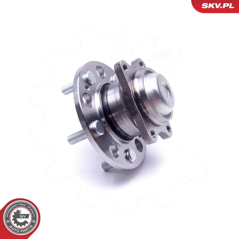 Set rulment roata ESEN SKV 29SKV488