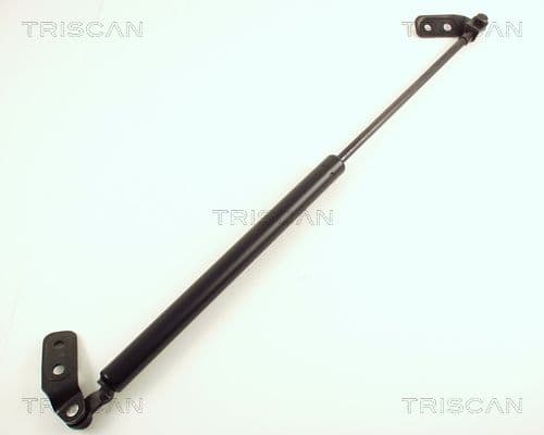Amortizor portbagaj TRISCAN 8710 50221