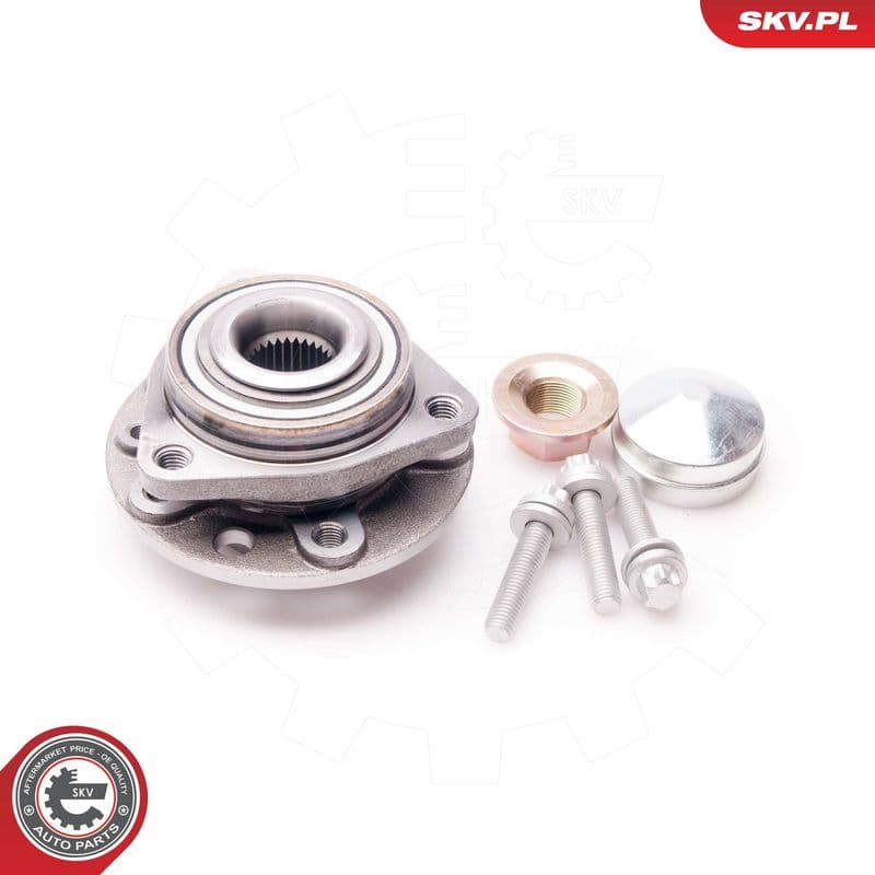 Set rulment roata ESEN SKV 29SKV092