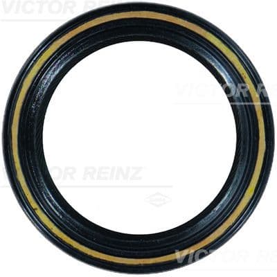 Simering, ax cu came VICTOR REINZ 81-21909-20