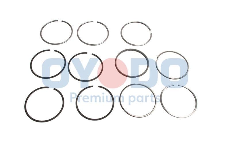 Set segmenti piston OYODO 40M0321.000-OYO