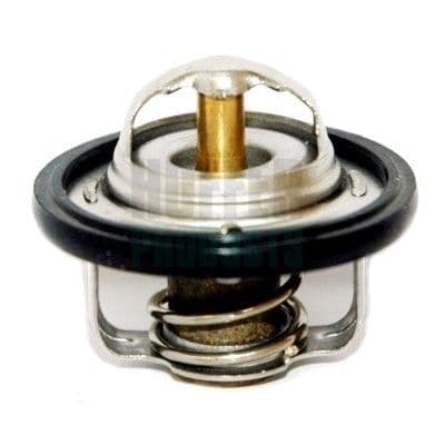termostat,lichid racire MEAT & DORIA 8192130