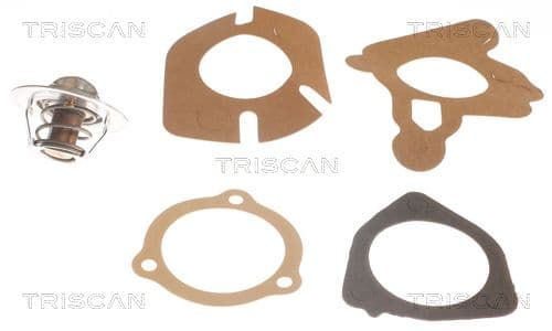 termostat,lichid racire TRISCAN 8620 2982