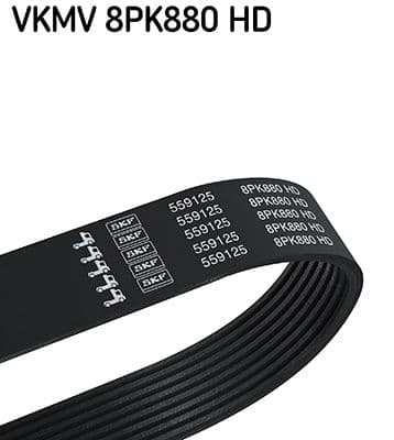 Curea transmisie cu caneluri SKF VKMV 8PK880 HD
