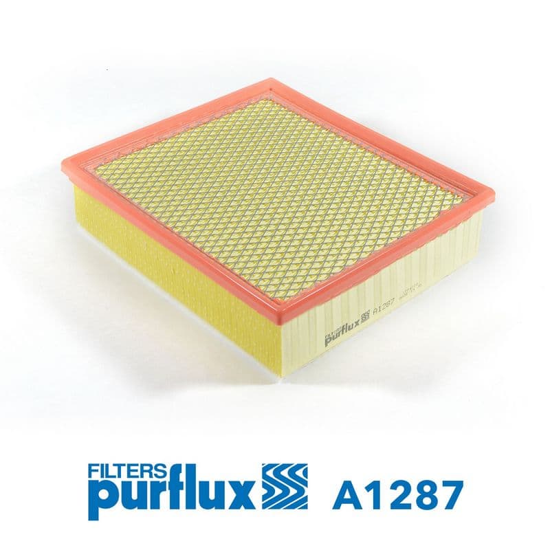 Filtru aer PURFLUX A1287