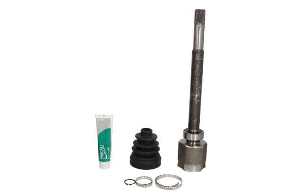 Set articulatie, planetara PASCAL G8X035PC