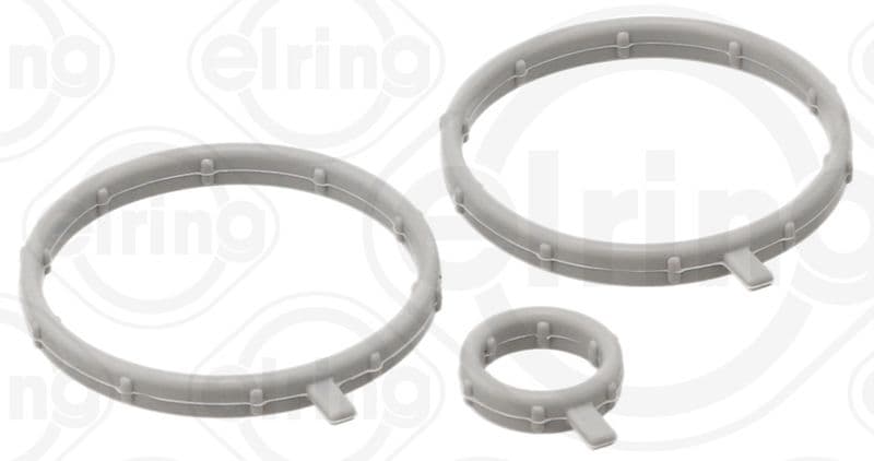 Garnitura, carcasa termostat ELRING 202.800