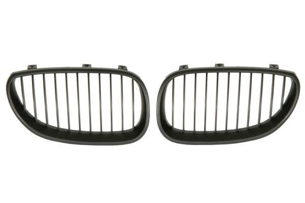 Grila radiator BLIC 6502-07-0066991KP