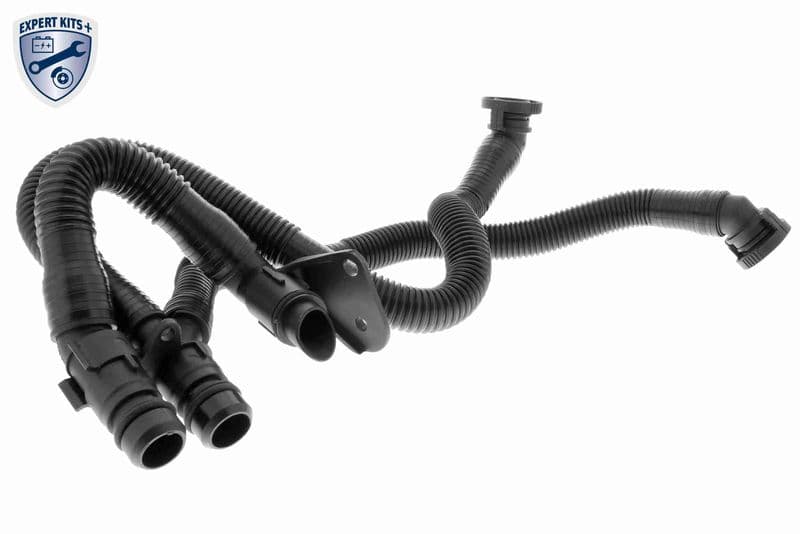 furtun,aerisire bloc motor VAICO Original Quality V10-3503