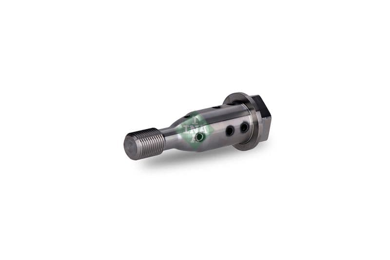 Supapa principala, poz. arbore cu came Schaeffler INA 427 0021 10