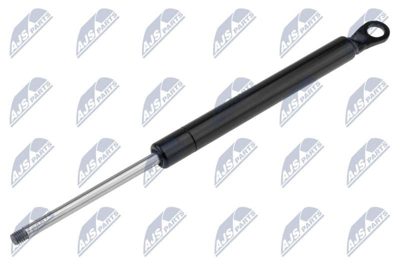Amortizor portbagaj NTY AE-CT-008