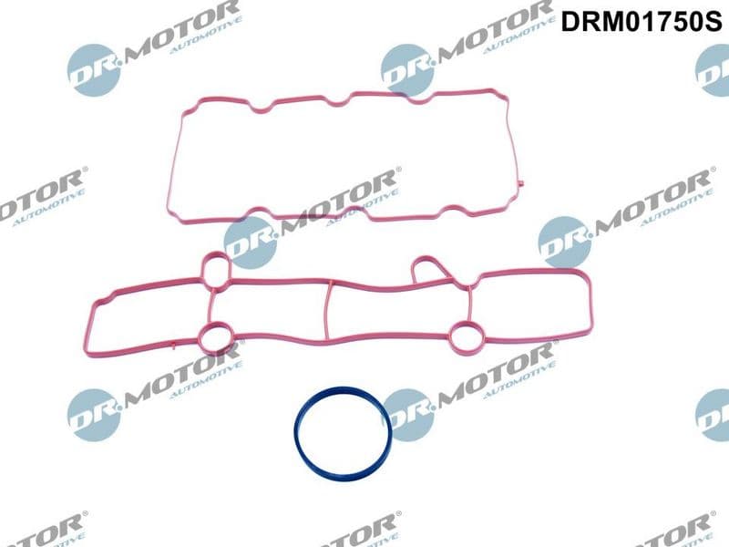 Set garnituri, galerie admisie Dr.Motor Automotive DRM01750S