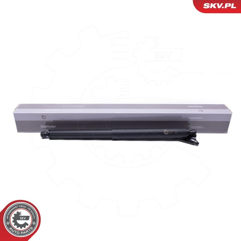 Motor electric, haion ESEN SKV 52SKV963