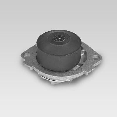 Pompă de apă, răcire motor HEPU P1041