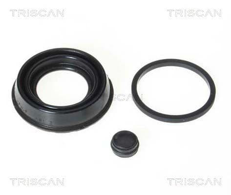 garnitura,piston etrier TRISCAN 8170 189920