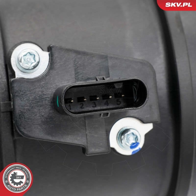 senzor debit aer ESEN SKV 07SKV202