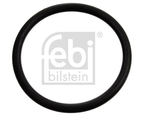 Garnitura termostat FEBI BILSTEIN 17970
