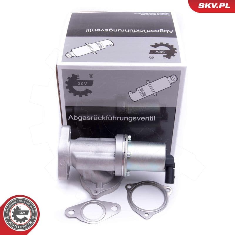 Supapa EGR ESEN SKV 14SKV209
