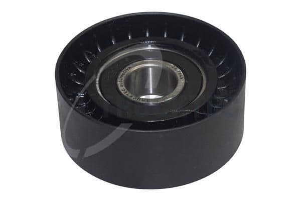 rola intinzator,curea transmisie TRUCKTEC AUTOMOTIVE 08.19.253