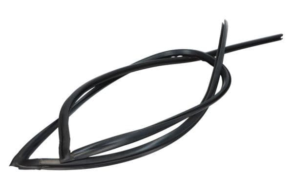 Garnitura, parbriz BLIC 5703-04-6037337Q