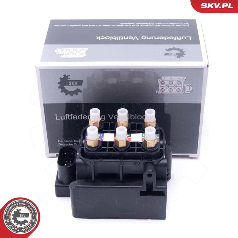 supapa,sistem supraalimentare ESEN SKV 93SKV800