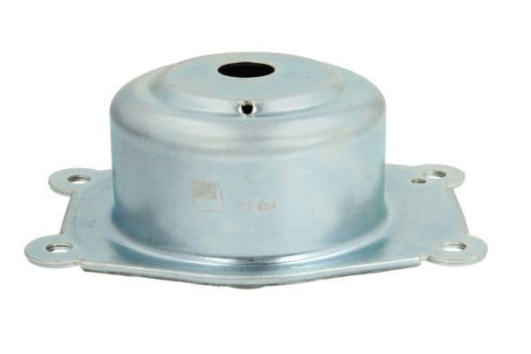 Suport motor REINHOCH RH11-5019