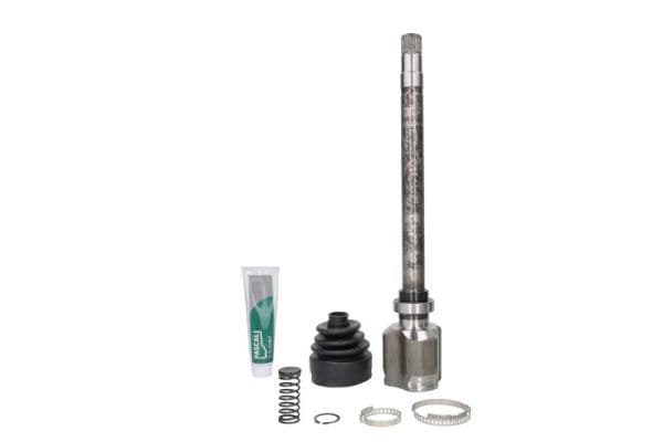 Set articulatie, planetara PASCAL G8F006PC