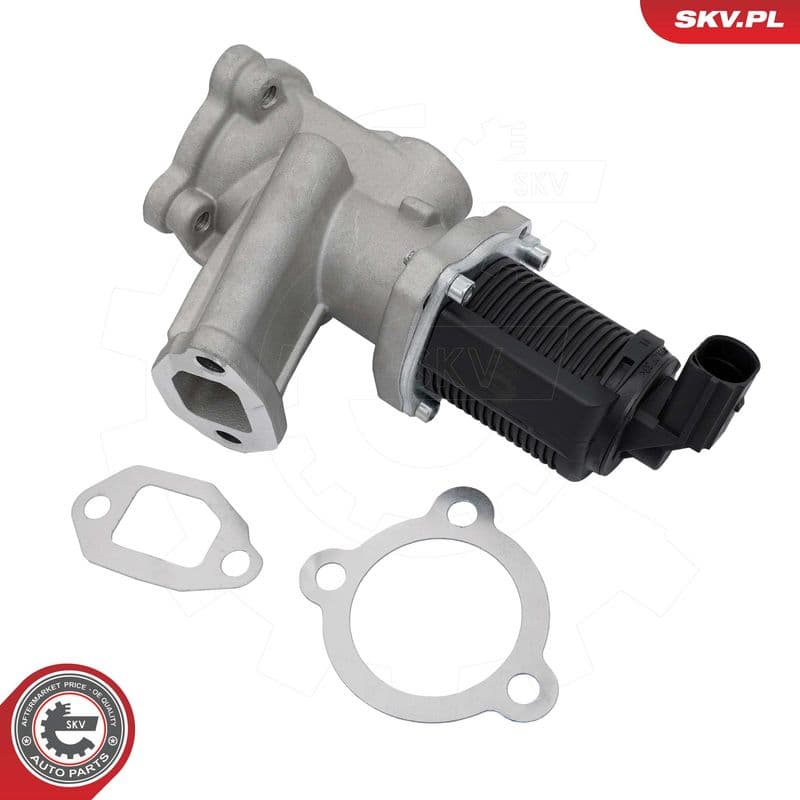 Supapa EGR ESEN SKV 14SKV314