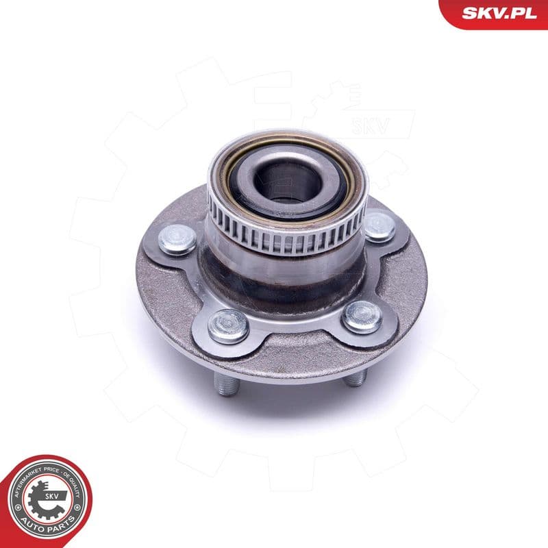 Set rulment roata ESEN SKV 29SKV378