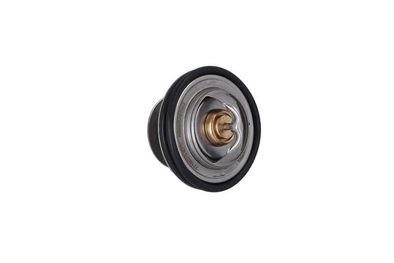 termostat,lichid racire KAMOKA 7710070