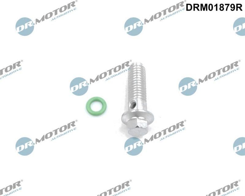 Set de reparație, pompă de ulei Dr.Motor Automotive DRM01879R