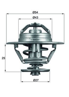 termostat,lichid racire MAHLE BEHR TX 93 79D