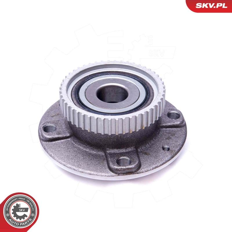 Set rulment roata ESEN SKV 29SKV340