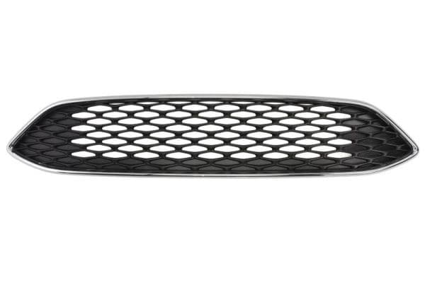 Grila radiator BLIC 6502-07-253699AP