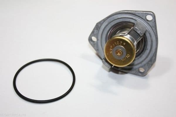 termostat,lichid racire AUTOMEGA 160100010