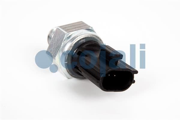 Senzor COJALI 2263001