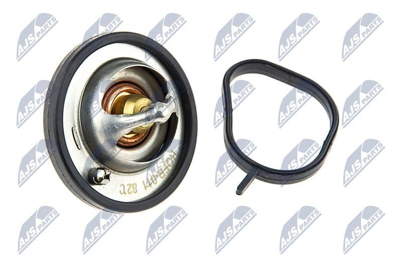 termostat,lichid racire NTY CTM-FR-011